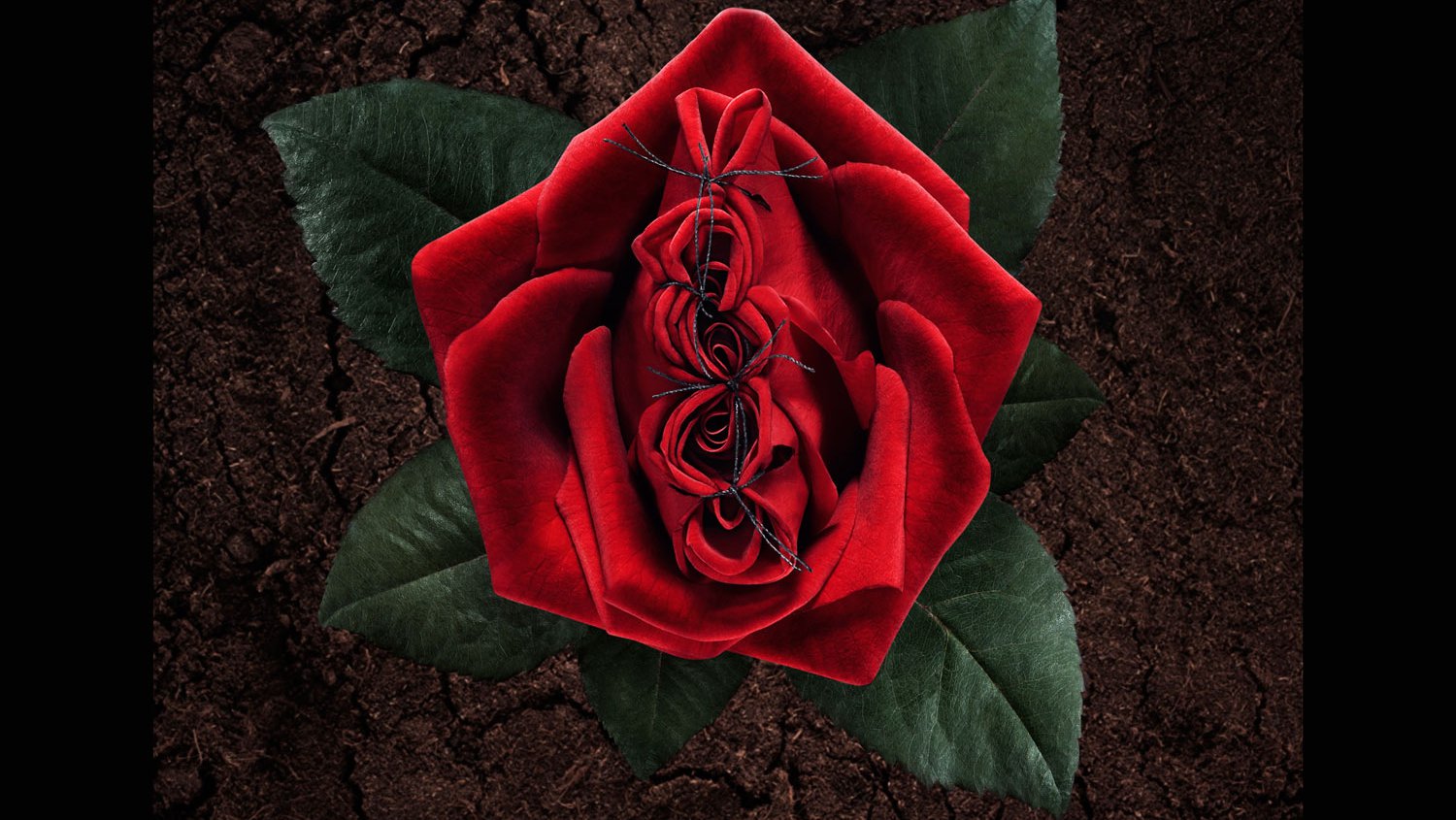 Charmed teleserialidagi aktrisalar bilan porno Top 100 qora porno