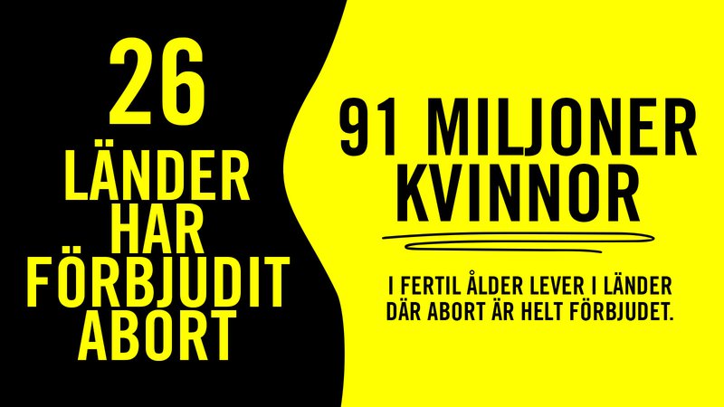 Stefani dangasa seksualmi?